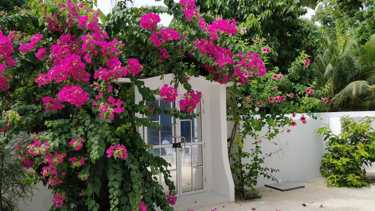 Athiriveli Otel Thoddoo Dış mekan fotoğraf