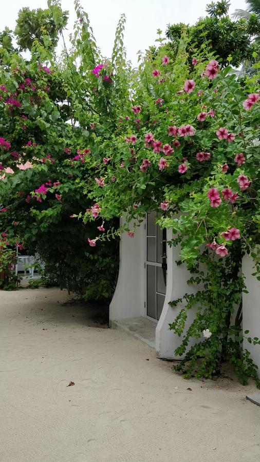Athiriveli Otel Thoddoo Dış mekan fotoğraf